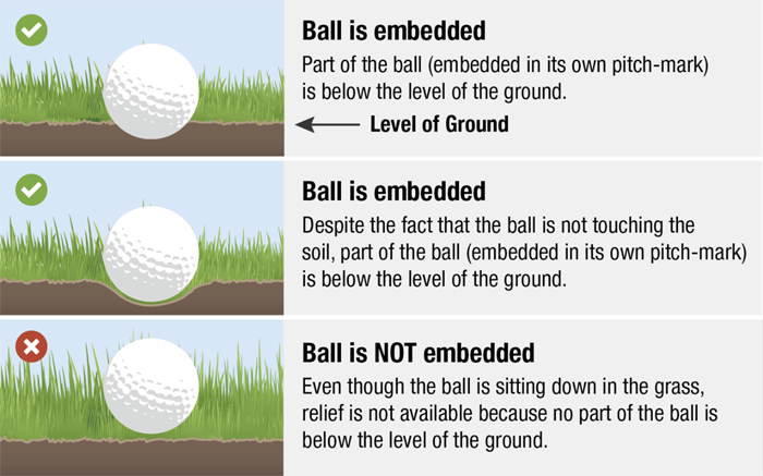 Embedded ball